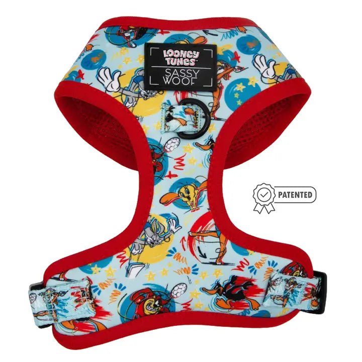 Winter warm clothes for catsNickelodeon Looney Tunes™ Blue