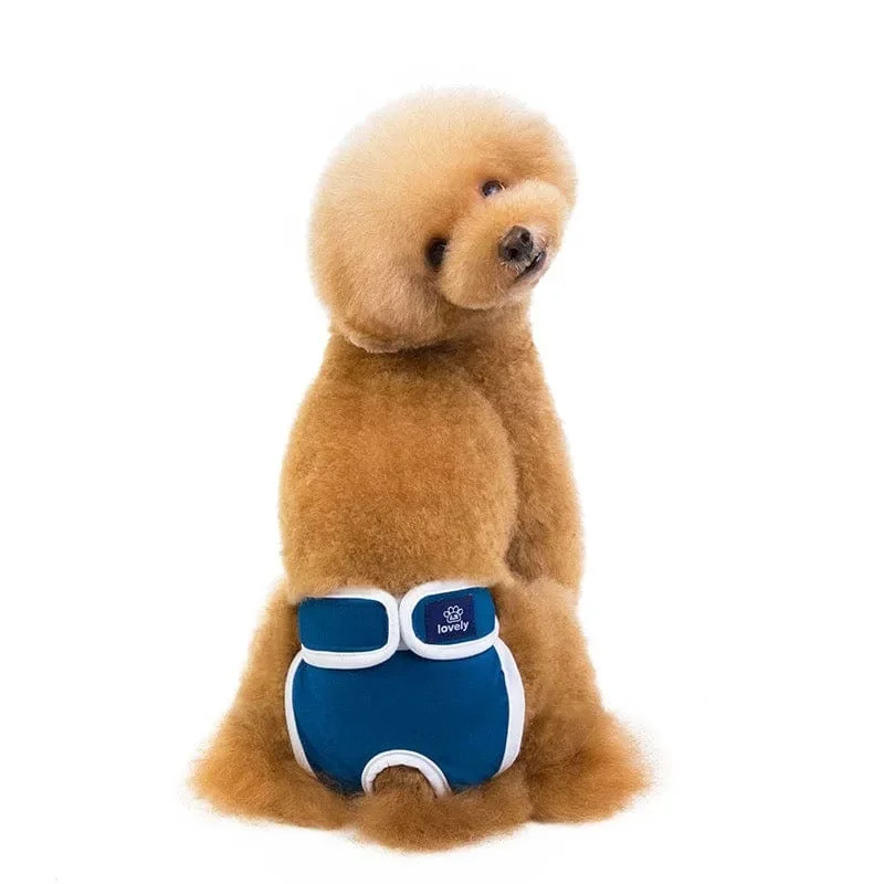 - Dog heart rate monitoring collarKUTKUT Lovely Washable Female Dog Diaper, Reusable Physiological Pant for Female Dogs, Super-Absorbent and Comfortable Menstruation Pant for Girl Dog in Period Heat (Blue)